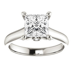 Princess Cathedral Engagement Ring with Surprise Diamond