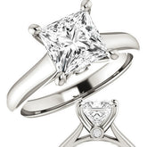 Princess Cathedral Engagement Ring with Surprise Diamond