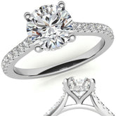 Cathedral & Collar Round Brilliant Moissanite Engagement Ring