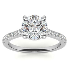 Cathedral & Collar Round Brilliant Moissanite Engagement Ring