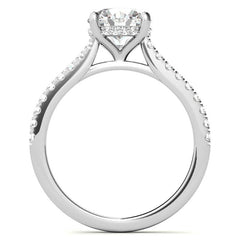 Cathedral & Collar Round Brilliant Moissanite Engagement Ring