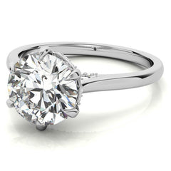 Round Brilliant Moissanite 6-Prong Cathedral Engagement Ring with Hidden Halo