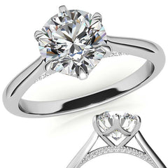 Round Cathedral Moissanite Engagement Ring