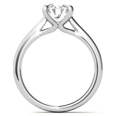 Round Brilliant Moissanite Cathedral Solitaire Ring