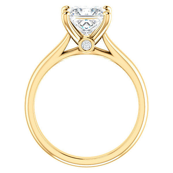 Princess Cathedral Engagement Ring with Surprise Diamond