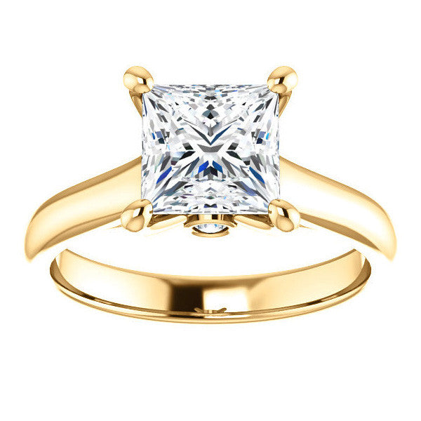 Princess Cathedral Engagement Ring with Surprise Diamond
