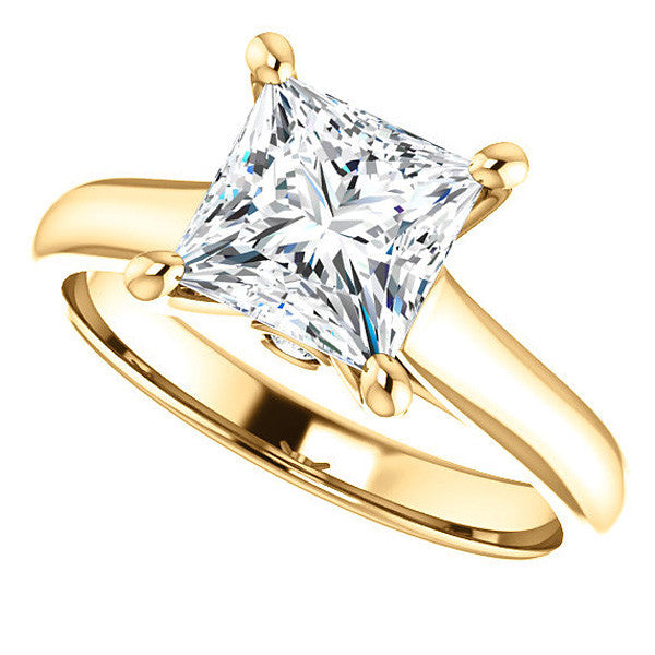 Princess Cathedral Engagement Ring with Surprise Diamond