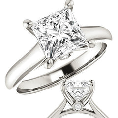 Princess Cathedral Engagement Ring with Surprise Diamond