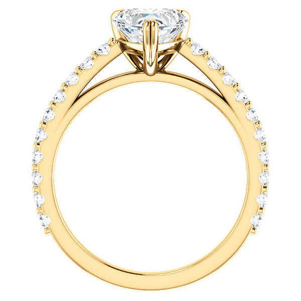 Heart cut Moissanite Double Prong Cathedral Engagement Ring