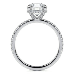 Round Brilliant Moissanite Diamond Pave Basket Engagement Ring