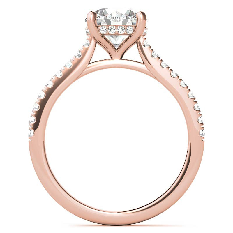 Cathedral & Collar Round Brilliant Moissanite Engagement Ring
