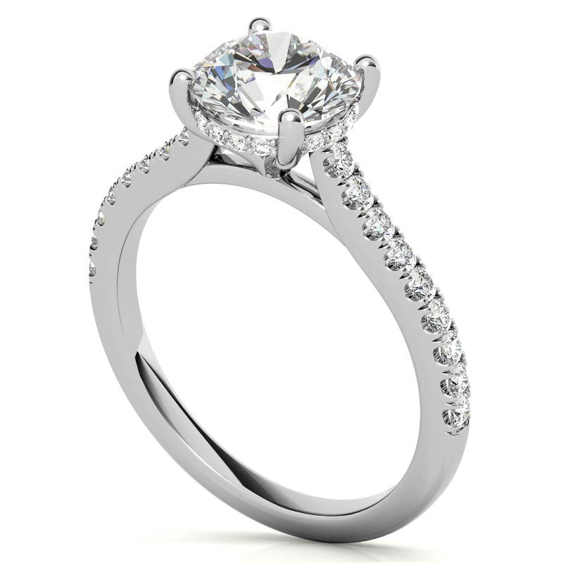 Cathedral & Collar Round Brilliant Moissanite Engagement Ring