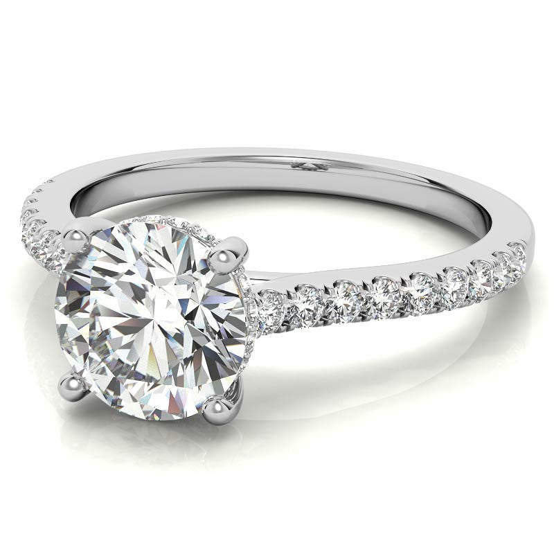 Cathedral & Collar Round Brilliant Moissanite Engagement Ring