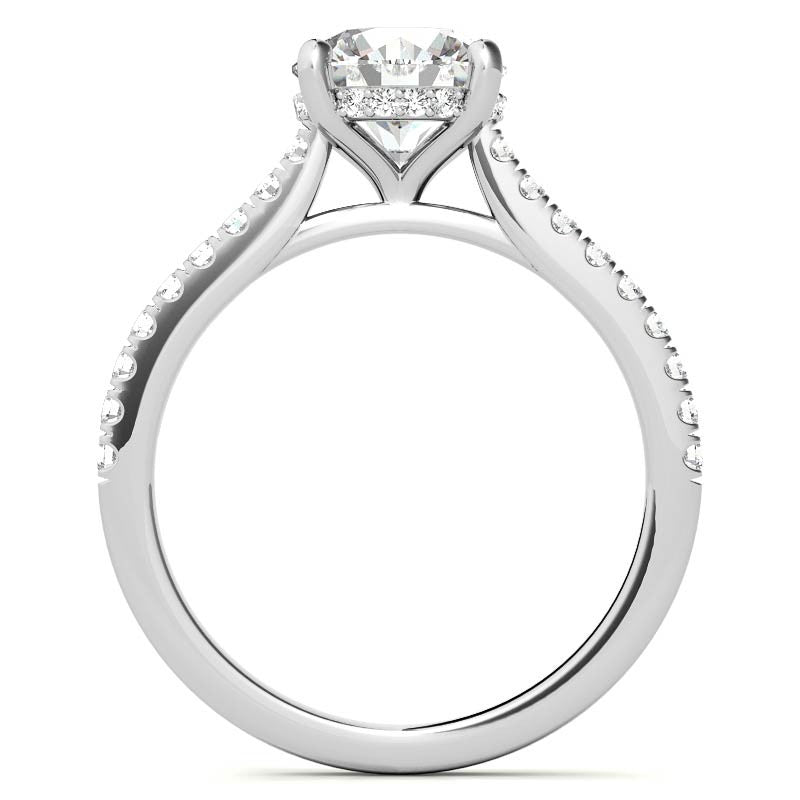 Cathedral & Collar Round Brilliant Moissanite Engagement Ring