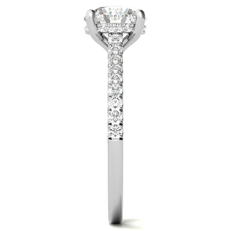 Cathedral & Collar Round Brilliant Moissanite Engagement Ring
