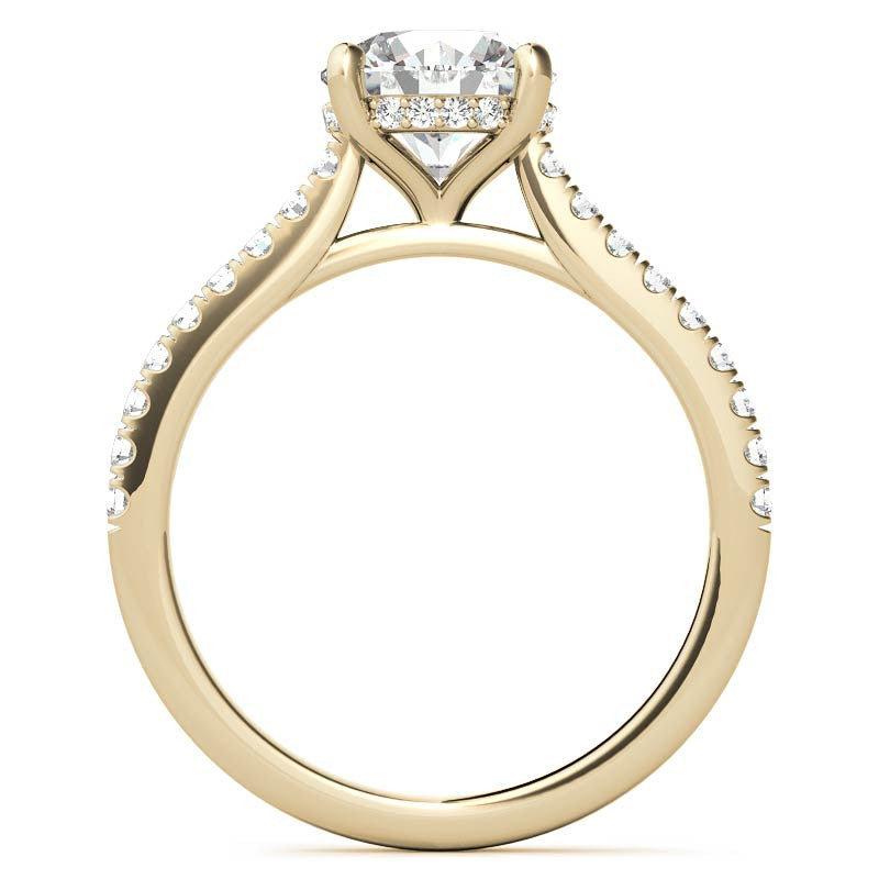 Cathedral & Collar Round Brilliant Moissanite Engagement Ring