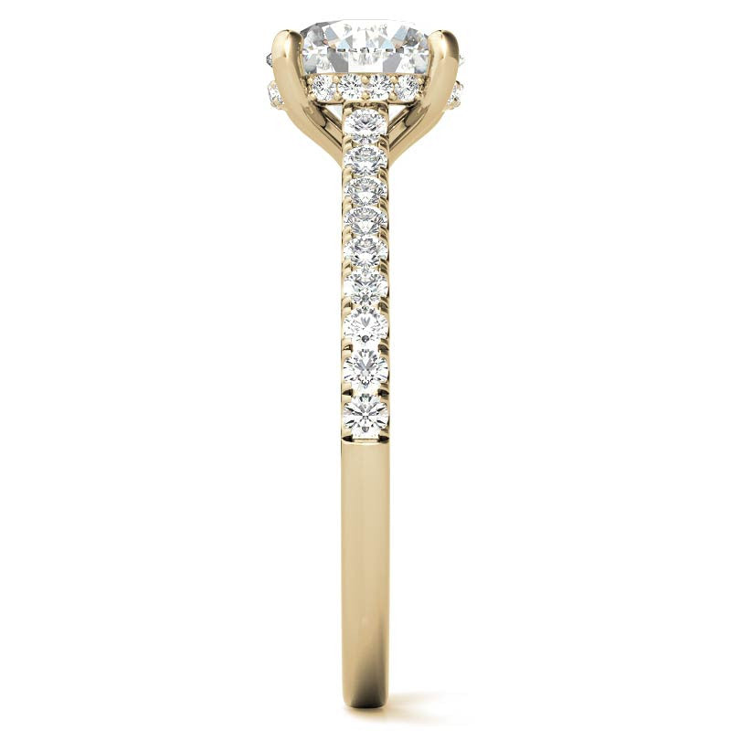 Cathedral & Collar Round Brilliant Moissanite Engagement Ring