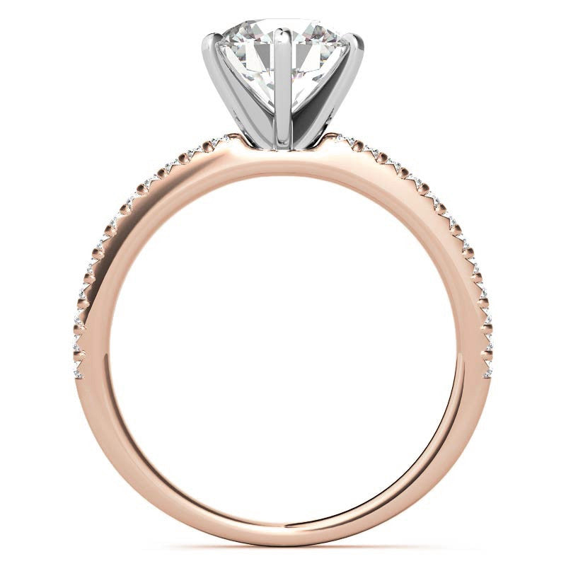 Round Brilliant Moissanite & Diamond Engagement Ring