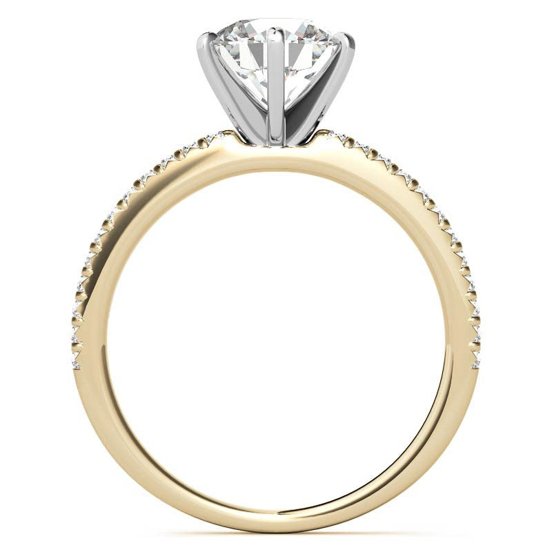 Round Brilliant Moissanite & Diamond Engagement Ring