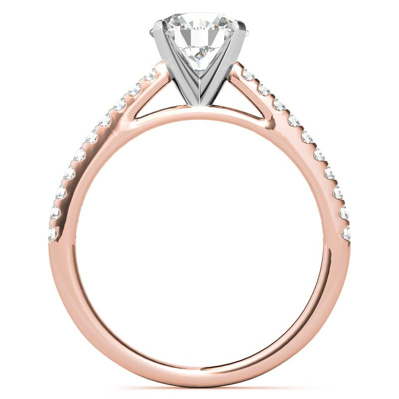 Round Brilliant Moissanite Petite Cathedral Engagement Ring (0.20ct)