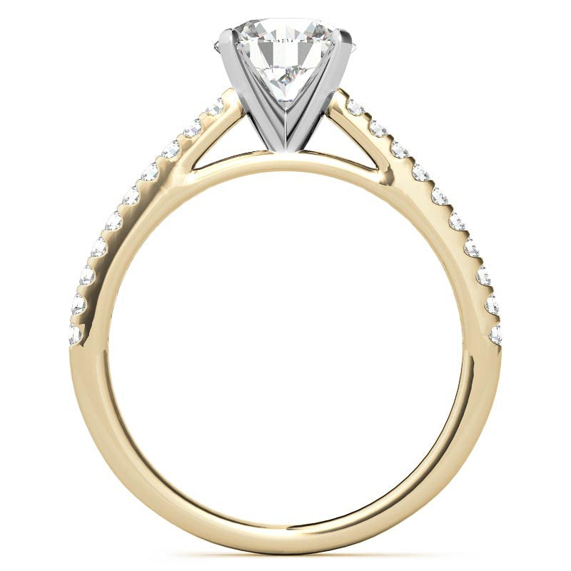 Round Brilliant Moissanite Petite Cathedral Engagement Ring (0.20ct)
