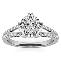 Round Statement Moissanite Engagement Ring