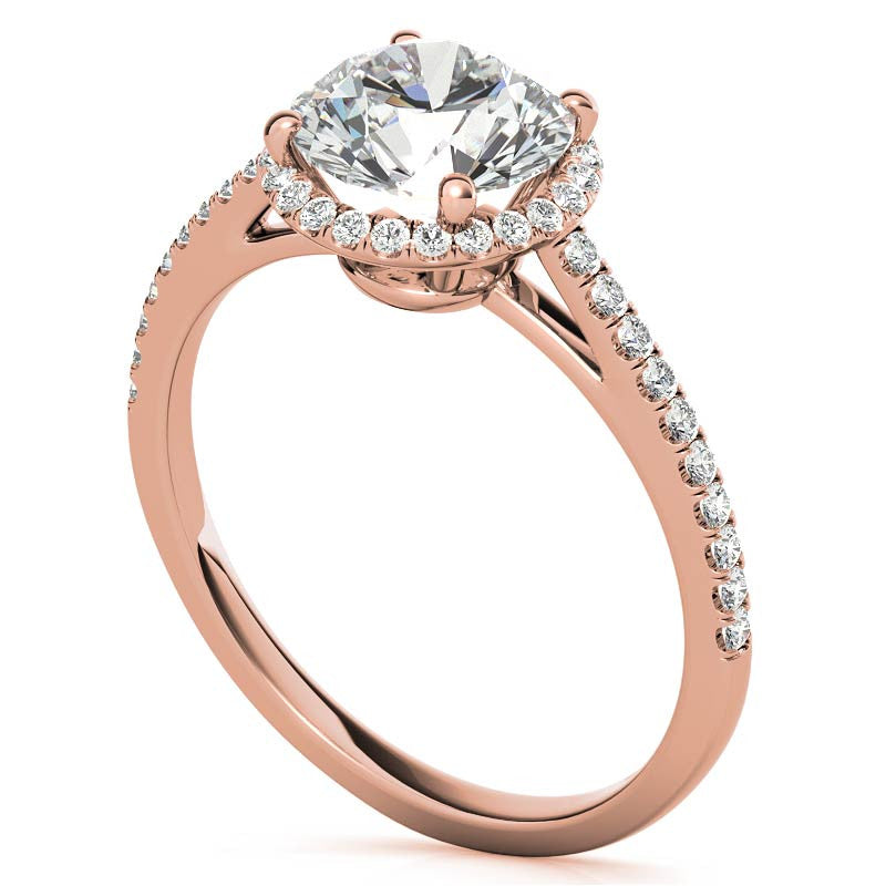 Round Petite Halo Moissanite Engagement Ring