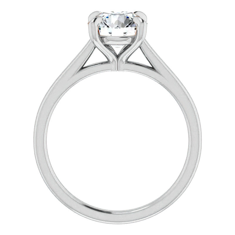 Round Brilliant Moissanite Petite Cathedral Solitaire