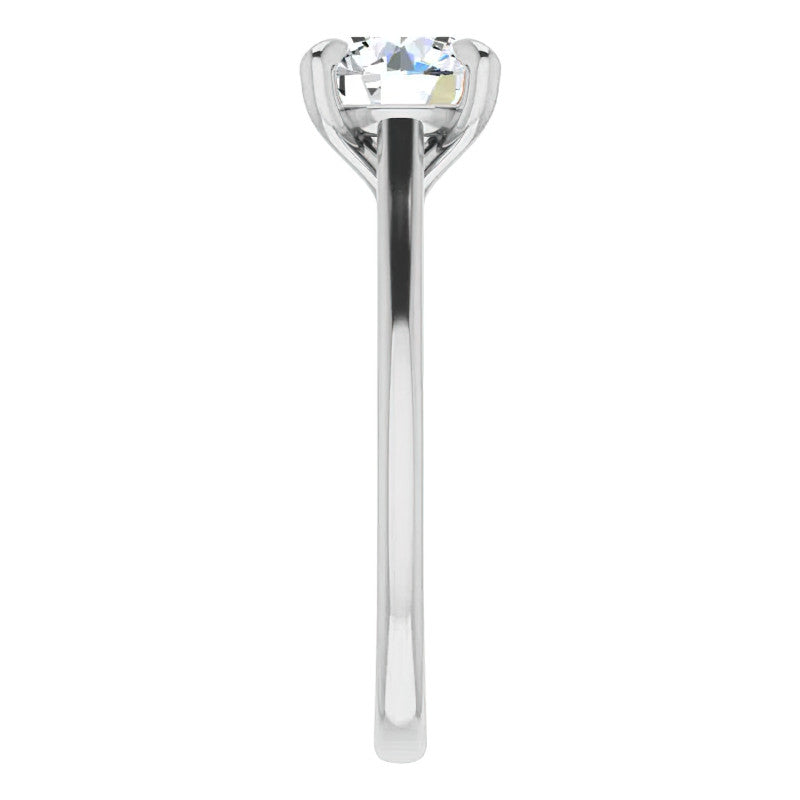 Round Brilliant Moissanite Petite Cathedral Solitaire