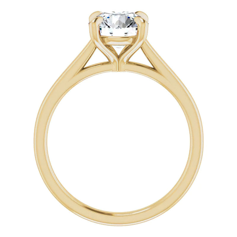 Round Brilliant Moissanite Petite Cathedral Solitaire
