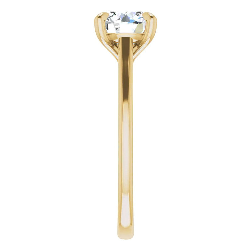 Round Brilliant Moissanite Petite Cathedral Solitaire