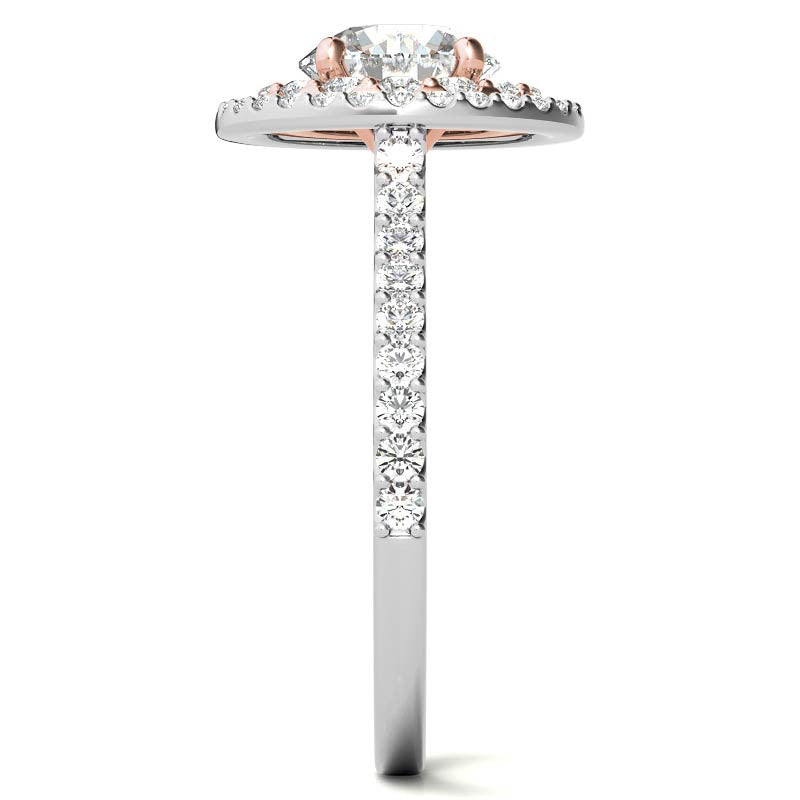Round Double Halo Moissanite Engagement Ring