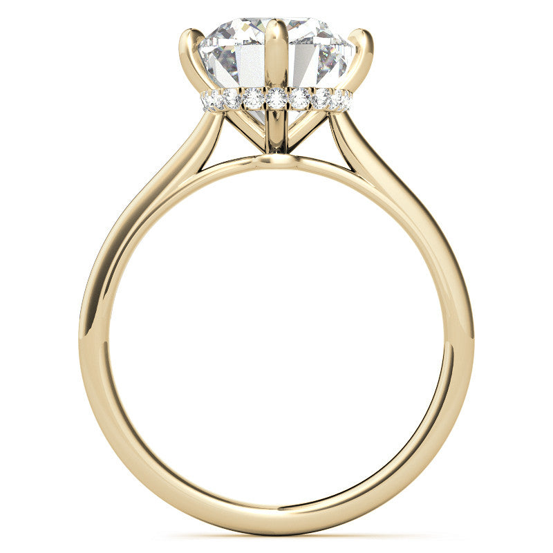 NSEW Rectangular Cushion Moissanite Engagement Ring