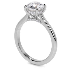 Round Cathedral Moissanite Engagement Ring with Hidden Halo