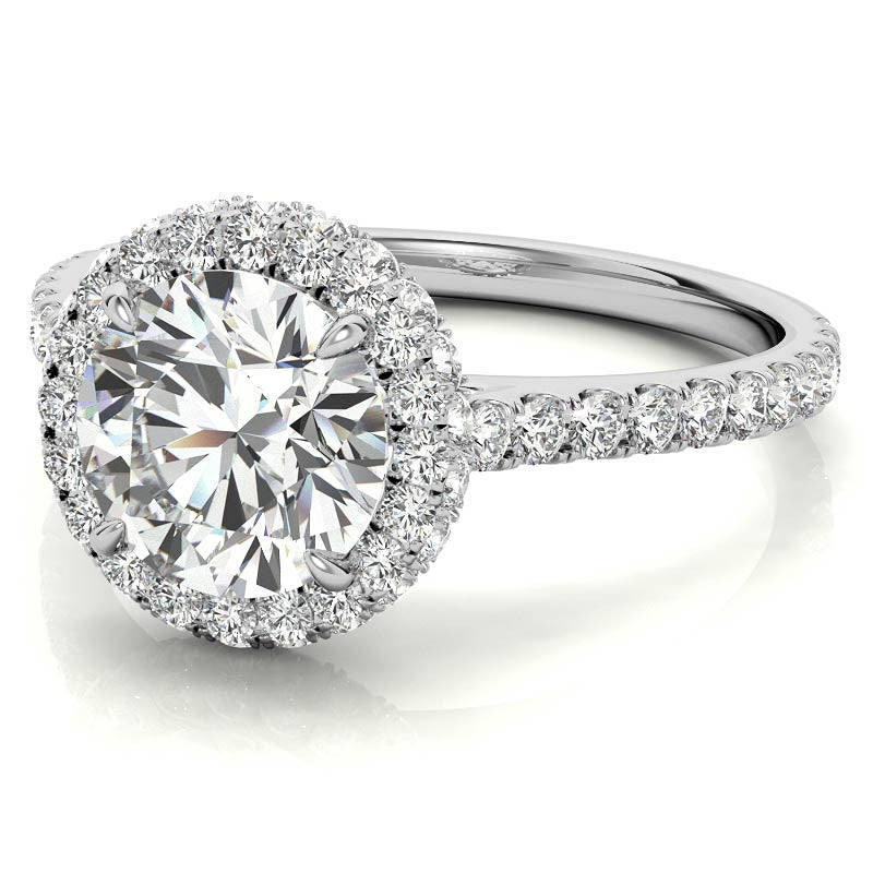 Round Brilliant Moissanite Double Halo Engagement Ring
