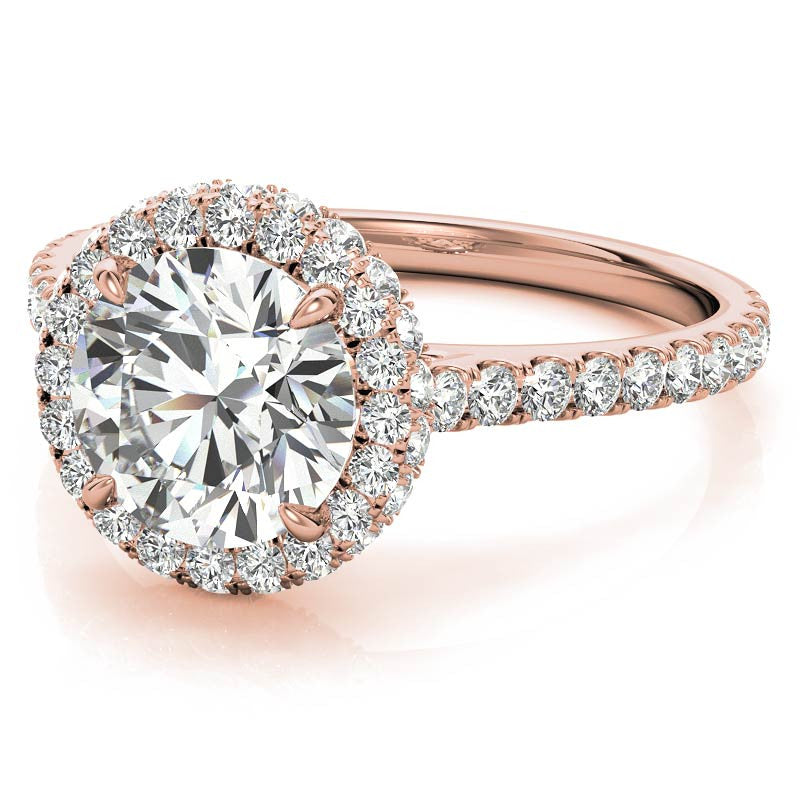 Round Brilliant Moissanite Double Halo Engagement Ring