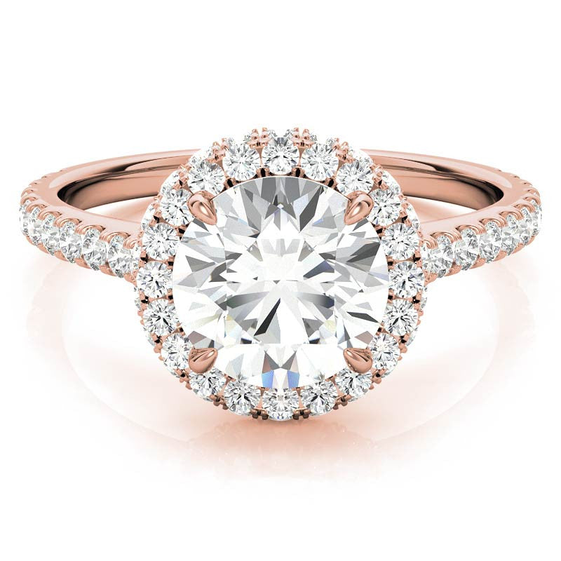 Round Brilliant Moissanite Double Halo Engagement Ring