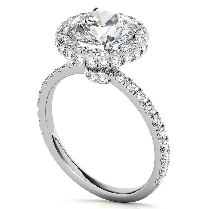 Round Brilliant Encircled Halo Moissanite Engagement Ring