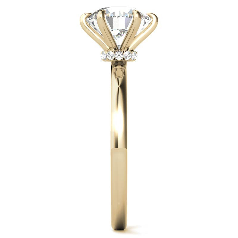 Round Petite Hidden Collar Moissanite Solitaire Ring