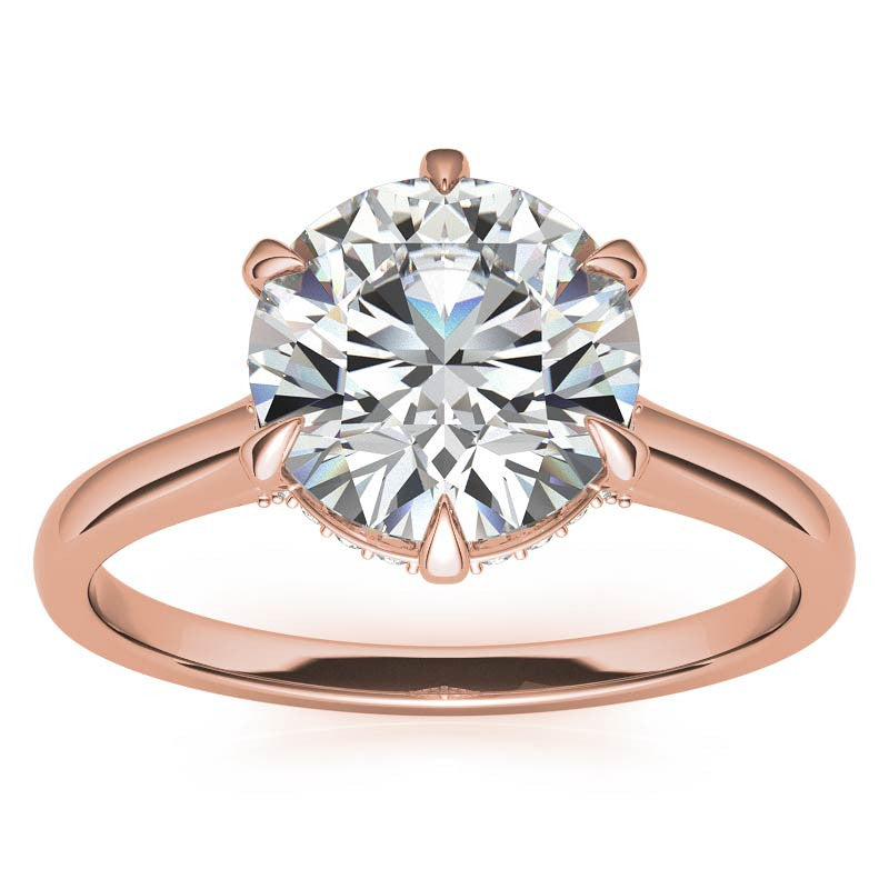 Round Brilliant Moissanite 6-Prong Cathedral Engagement Ring with Hidden Halo