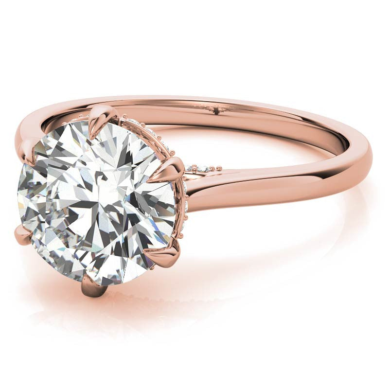 Round Brilliant Moissanite 6-Prong Cathedral Engagement Ring with Hidden Halo