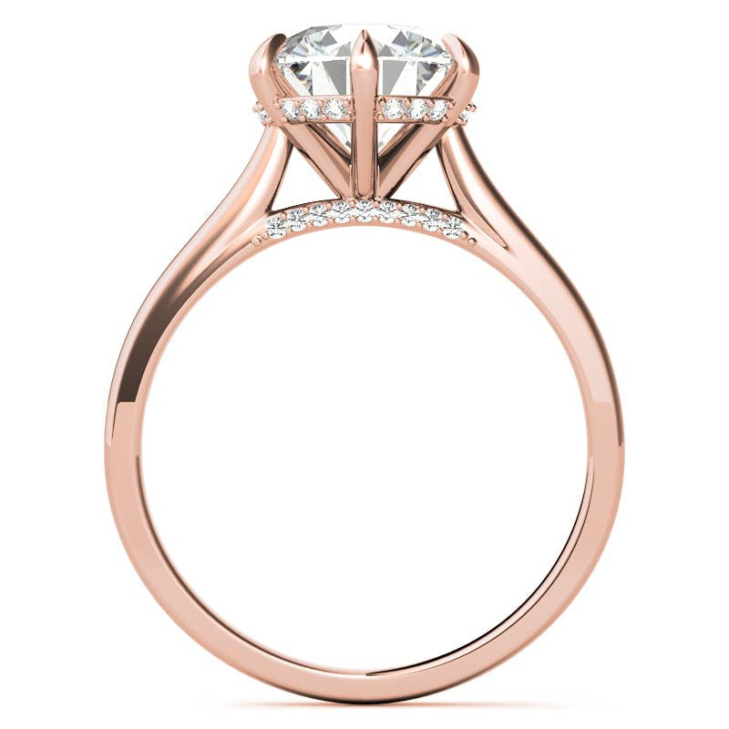 Round Brilliant Moissanite 6-Prong Cathedral Engagement Ring with Hidden Halo