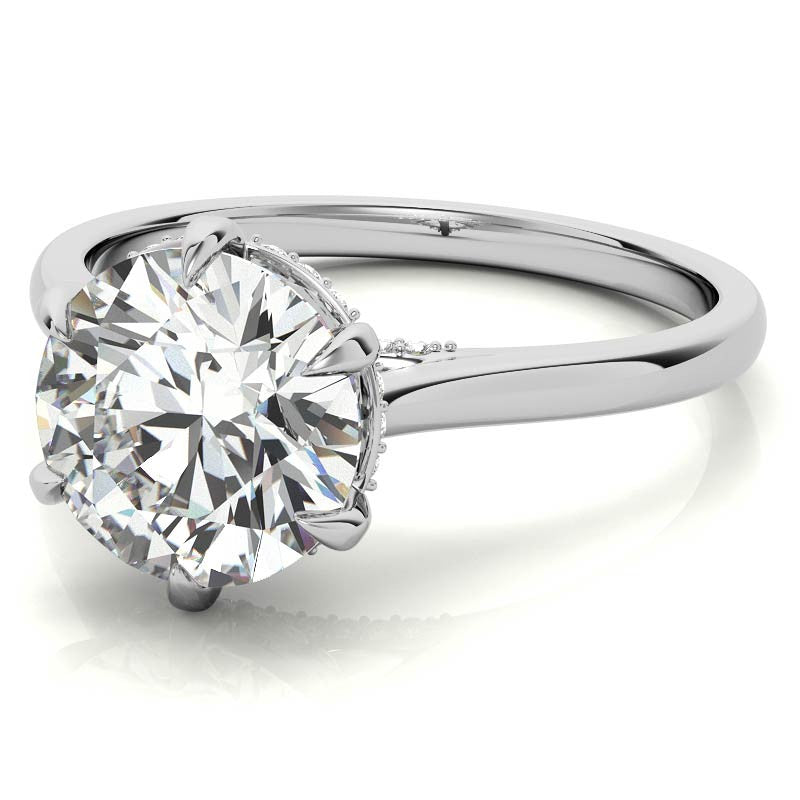 Round Brilliant Moissanite 6-Prong Cathedral Engagement Ring with Hidden Halo
