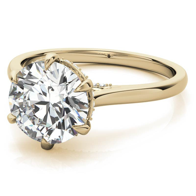 Round Brilliant Moissanite 6-Prong Cathedral Engagement Ring with Hidden Halo