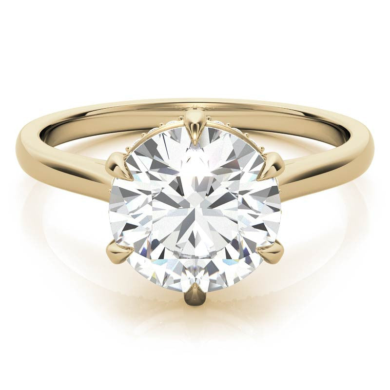 Round Brilliant Moissanite 6-Prong Cathedral Engagement Ring with Hidden Halo
