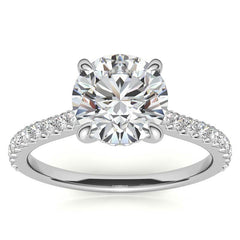 Round Cathedral Moissanite Engagement Ring with Hidden Halo