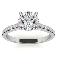 Round Hidden Halo Cathedral Moissanite Engagement Ring