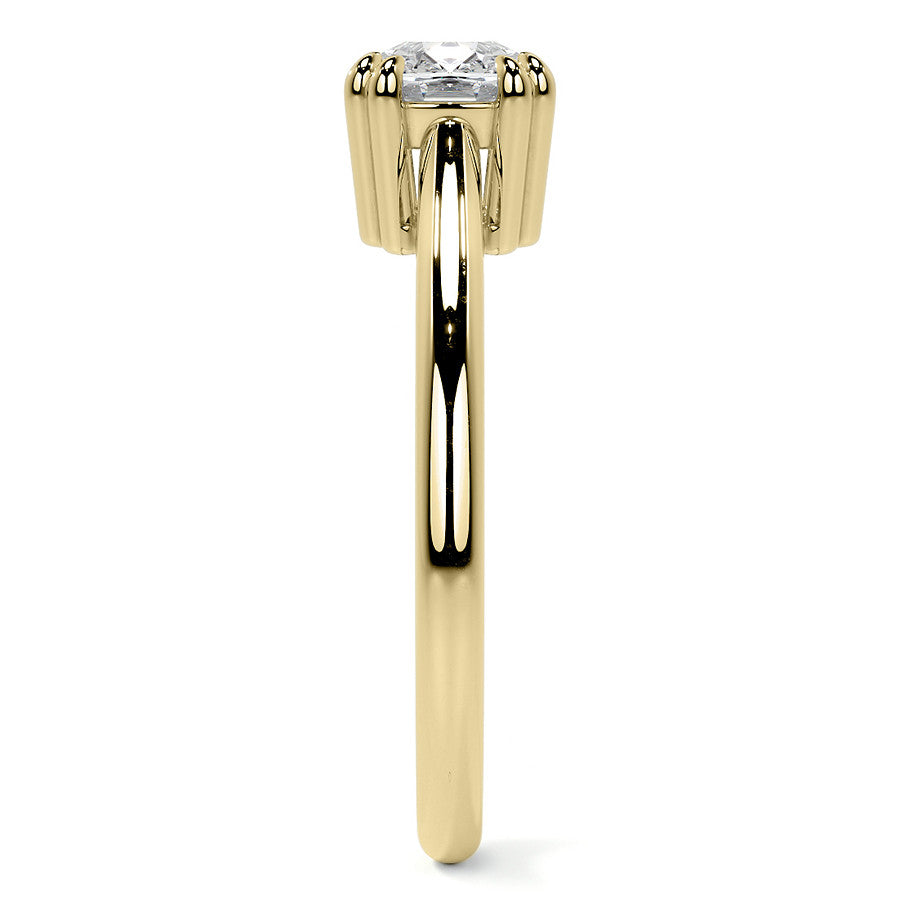 East-West Rectangular Cushion Moissanite Cathedral Solitaire Ring