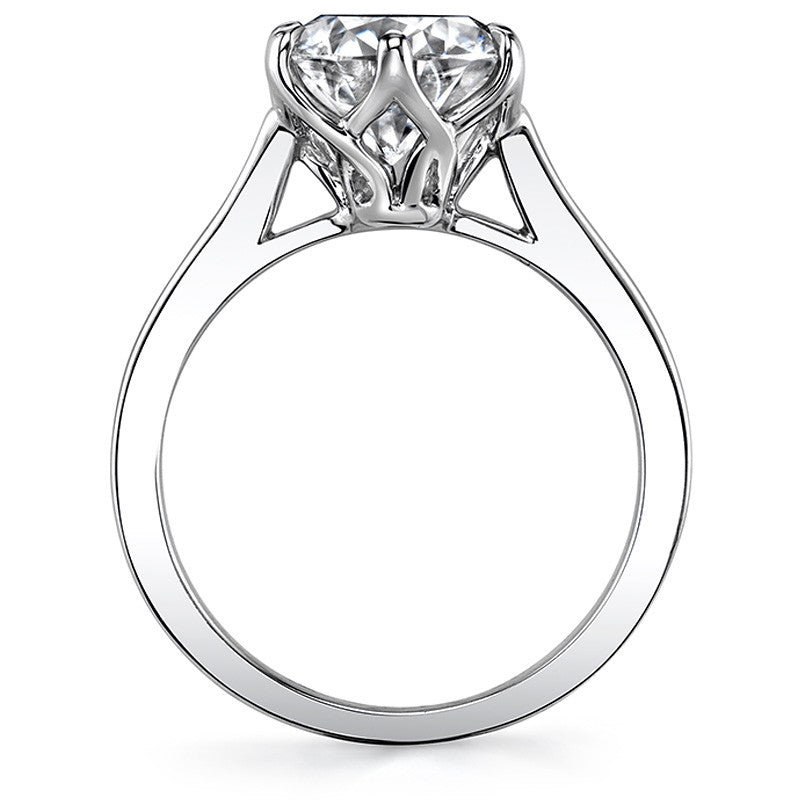 Round HA Cathedral Moissanite Solitaire with Woven Head