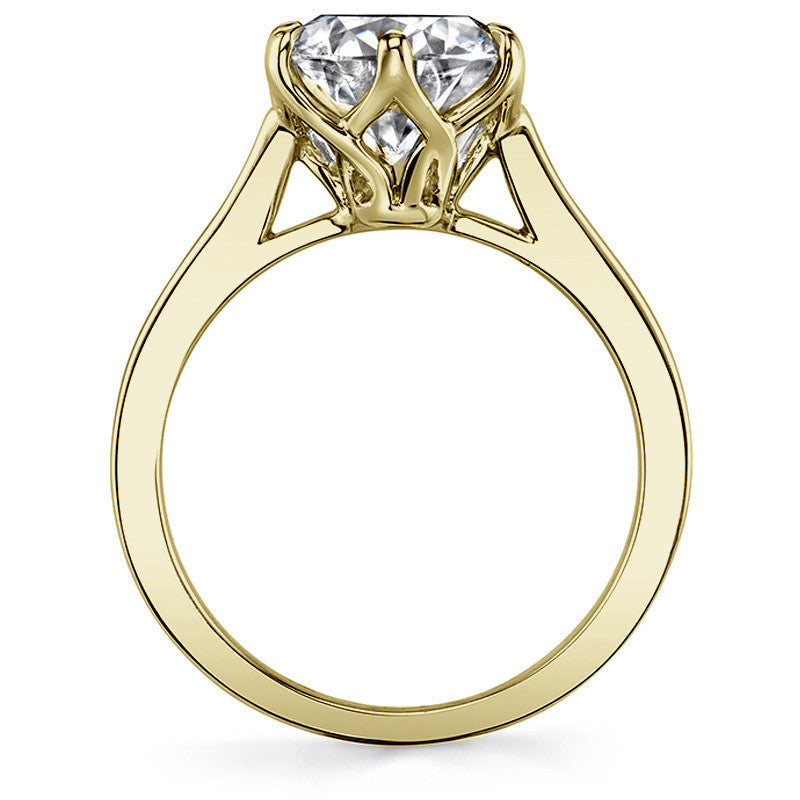 Round HA Cathedral Moissanite Solitaire with Woven Head